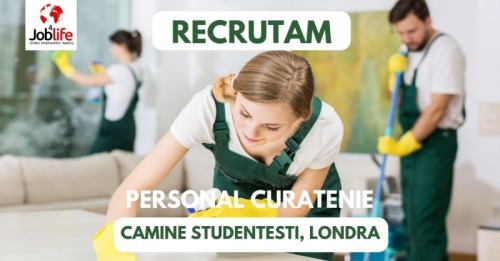 AGENTI CURATENIE LONDRA