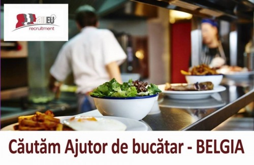 Ajutor de bucatar