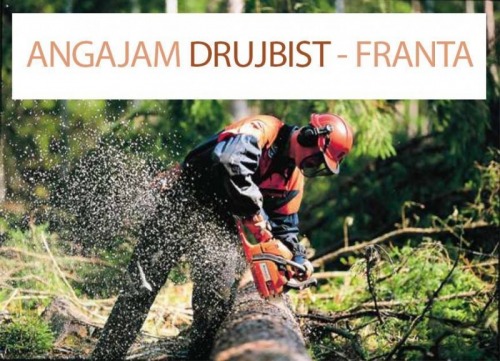 Angajam DRUJBISTI pentru FRANT
