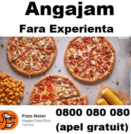 Angajam Fara Experienta  de la