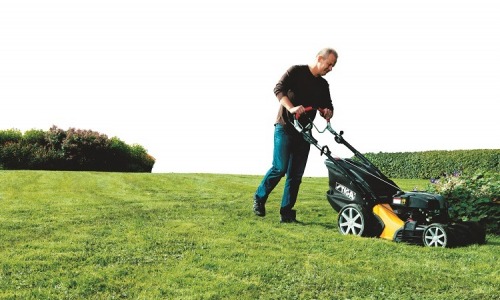 Angajam gradinar teren Golf It