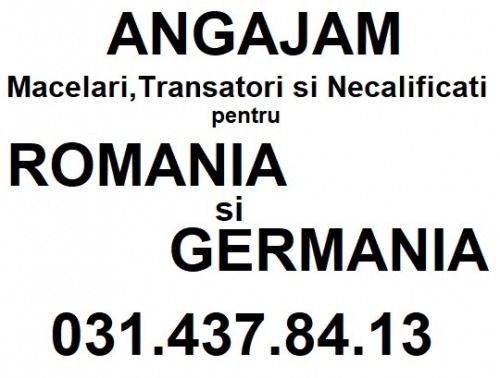 Angajam Necalificati Romania s