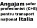 instalator profesionist