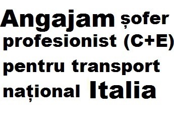 Angajam sofer profesionist Ita