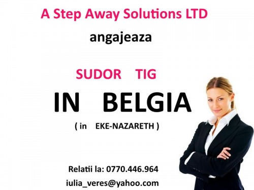Angajam sudor TIG   Belgia