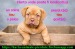 Animale pierdute si animale gasite