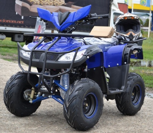 Atv 125Cc Bmw MotoSport InterG