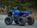 Atv 125Cc Nitro Grizzly Deluxe