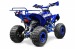 Atv 125Cc Pro Renegade Edition