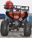 Atv 150Cc Akp Carbon Speedy De