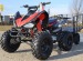 250cc speedy