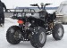 ATV AKP Warrior 150cc Sport Ed