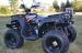 Atv Alfarad AD LION200cc EURO 