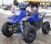 nitro germany
