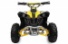 ATV ECO AVENGER PRIME ELECTRIC