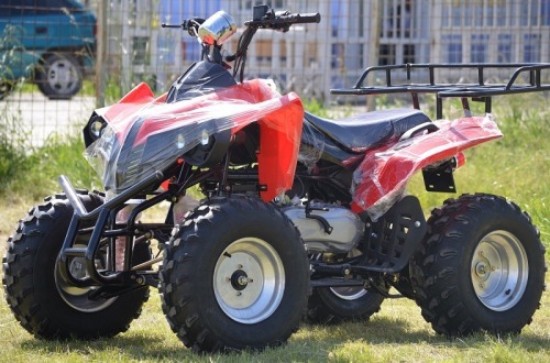 Atv Forceone Mega Renegade R10