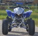 Atv Kxd Model Alyen 125cc  Roti de 8 Inc