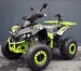ATV KXD MOTORS WARRIOR LEMON M8  2021  S