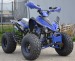 Atv Model Raptor 125cc  Roti d
