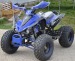Atv Model Raptor 125cc  Roti d