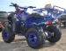 Atv Nitro 006 7 Toronto Middi 