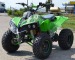 warrior 125cc