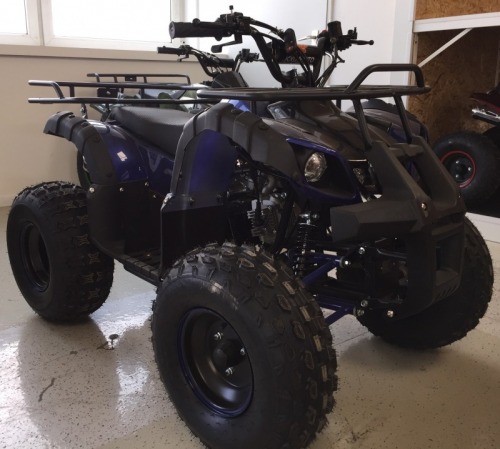 ATV NITRO Grizzly 125cc Import