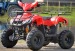 Atv Nitro Model Bmw 125cc Roti de 7 Inch