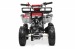 ATV Nitro Motors Torino Deluxe