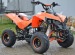 bashane renegade