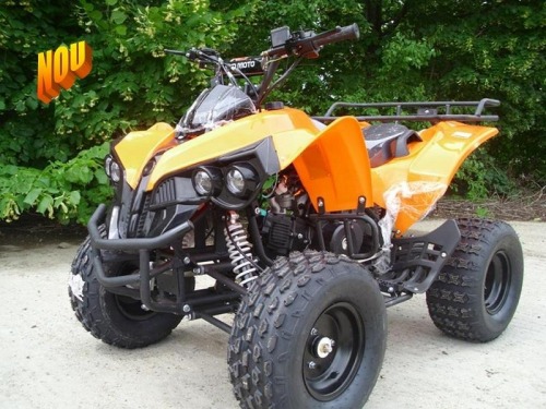 ATV Nou ReneGade  125cmc Cadou