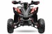 ATV RIZZO RS 150CC IMPORT GERMANIA 2020