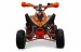 Atv SPEEDY 125cc Nitro Motors 