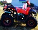 Atv T rex 125cc Nitro Motors G