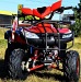 nitro germany