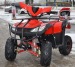 nitro germany