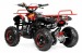 ATV TORINO 49 CC NEW MODEL 200