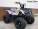 Atv Toronto 125cc Nitro Motors
