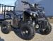 Atv Toronto125cc Nitro Motors 