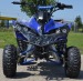 Atv Warrior 125cc Nitro Motors