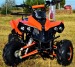 warrior 125cc