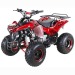 Atv Warrior 125cc Nitro Motors