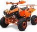 nitro germany