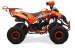 Atv Warrior 125cc Nitro Motors