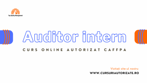 Auditor intern