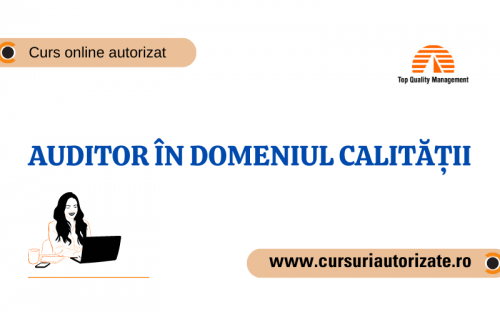 Auditor   n Domeniul Calit    