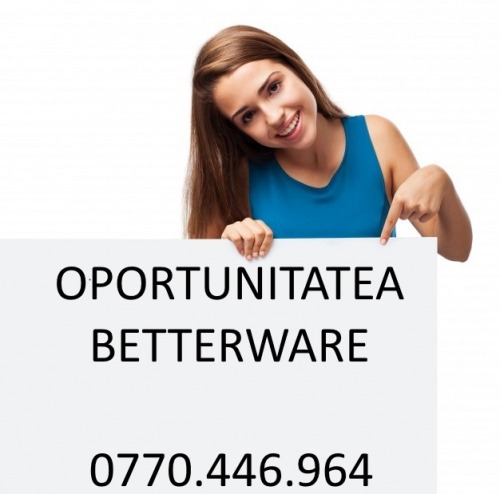 Castiga bani cu oportunitatea 