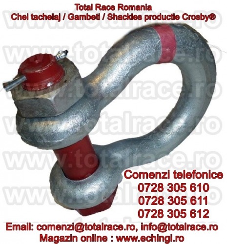 Chei tachelaj omega Crosby