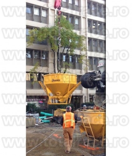 Cupe de beton productie Italia