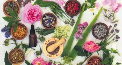 Curs Aromaterapie si fitoterap